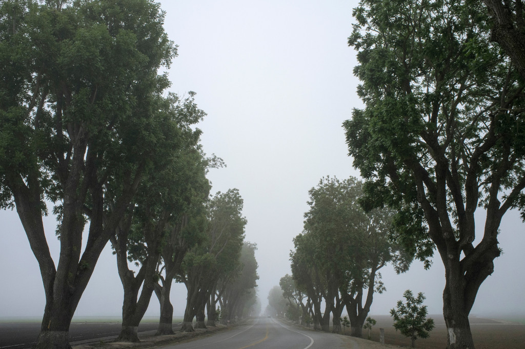 Carretera con neblina frases de muerte